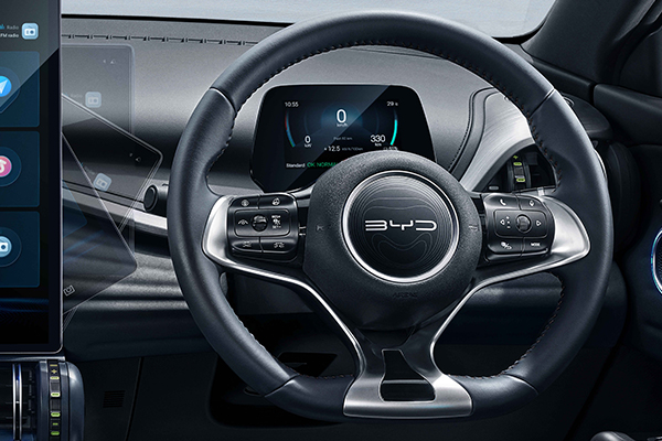 Multifunctional Steering Wheel