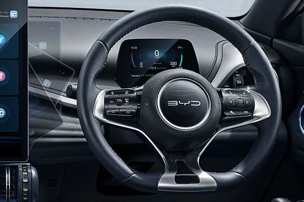 Multifunctional Steering Wheel